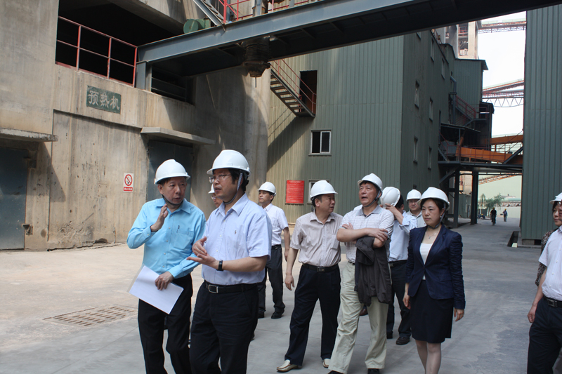 2013年5月3日,武汉市副市长刘立勇视察湖北亚东水泥公司,田隆首席副总经理热情接待。 2013年5月3日,武汉市副市长刘立勇视察湖北亚东水泥公司,田隆首席副总经理热情接待。