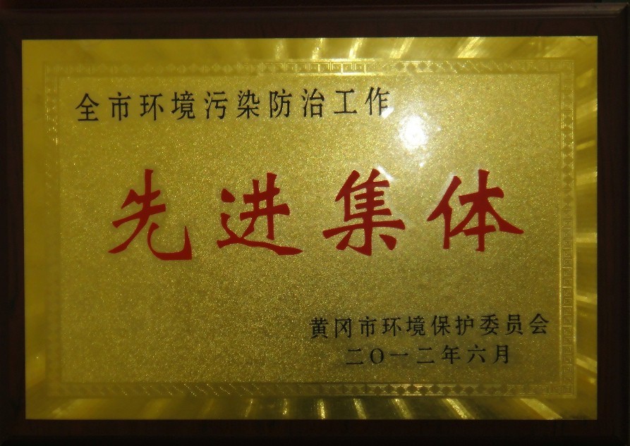 全市环境污染防治工作先进集体(黄冈亚东) 全市环境污染防治工作先进集体(黄冈亚东)
