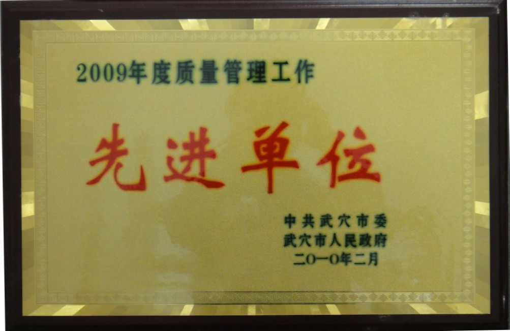 2009年度质量管理工作先进单位(黄冈亚东) 2009年度质量管理工作先进单位(黄冈亚东)