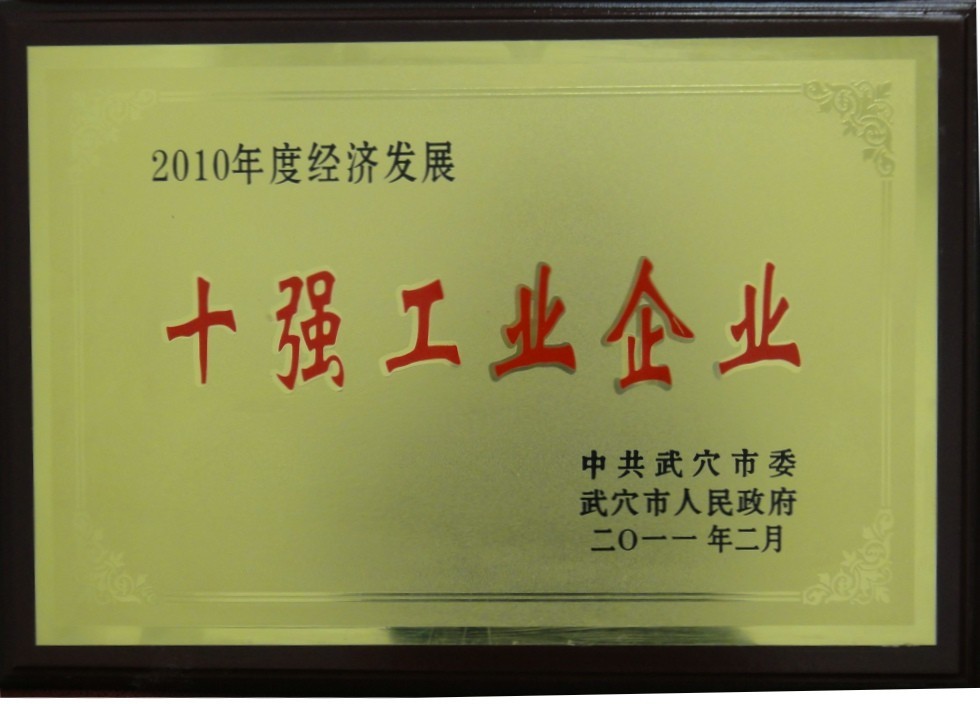 2010年度经济发展十强工业企业(黄冈亚东) 2010年度经济发展十强工业企业(黄冈亚东)