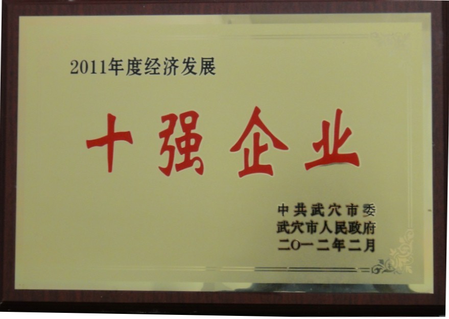 2011年度经济发展十强企业(黄冈亚东) 2011年度经济发展十强企业(黄冈亚东)