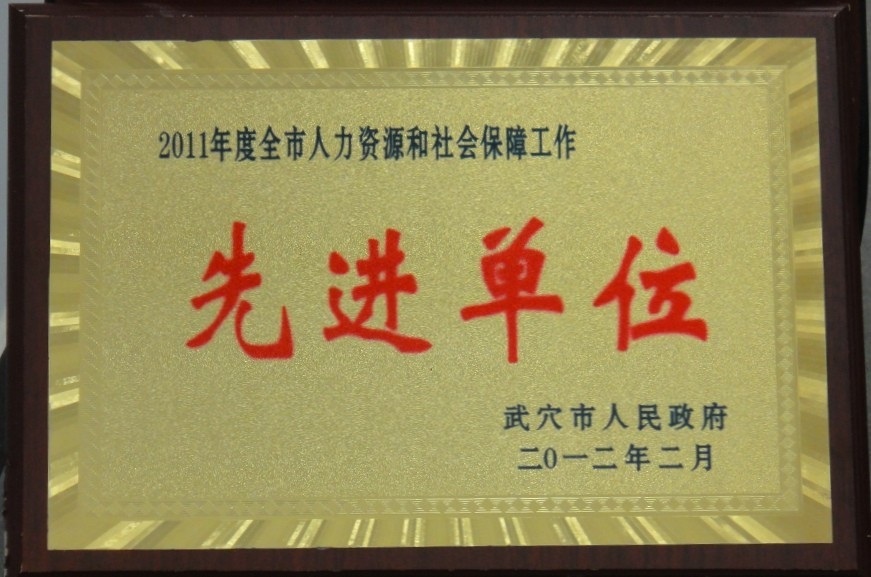2011年度全市人力资源和社会保障先进单位(黄冈亚东) 2011年度全市人力资源和社会保障先进单位(黄冈亚东)