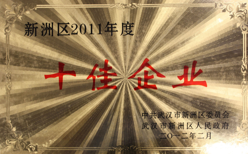 2011年度十佳企业(湖北亚东) 2011年度十佳企业(湖北亚东)