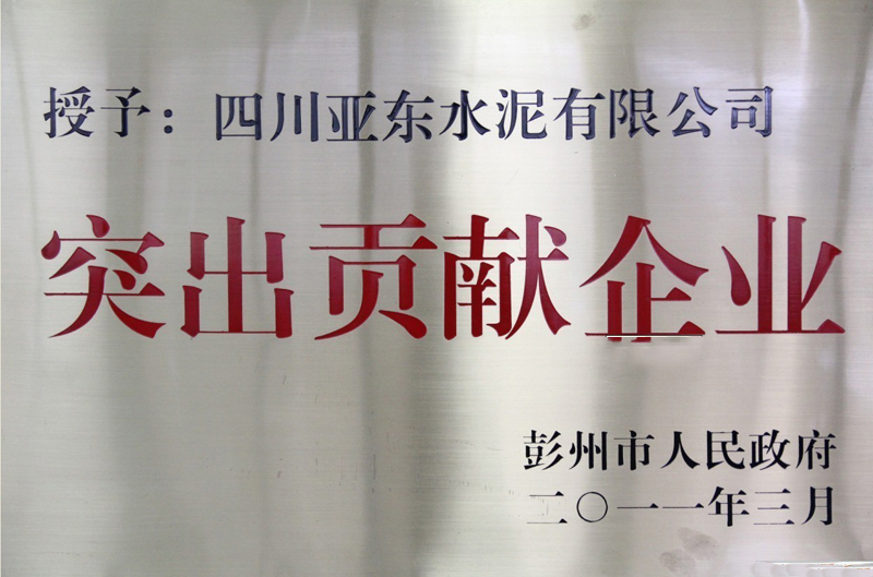 突出贡献企业(四川亚东) 突出贡献企业(四川亚东)