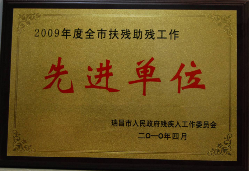 全市扶残助残工作先进单位(江西亚东) 全市扶残助残工作先进单位(江西亚东)