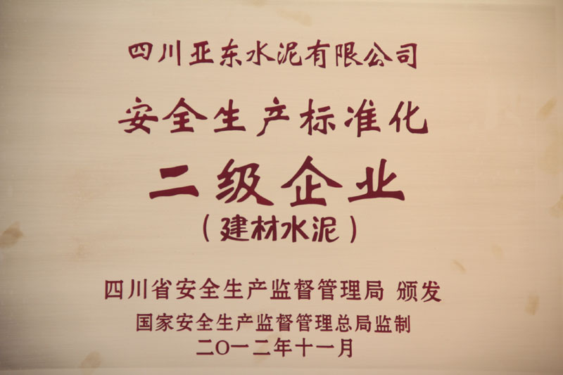 安全生产标准化二级企业(四川亚东) 安全生产标准化二级企业(四川亚东)