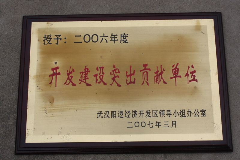 开发建设突出贡献单位(湖北亚东) 开发建设突出贡献单位(湖北亚东)