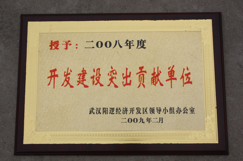 开发建设突出贡献单位(湖北亚东) 开发建设突出贡献单位(湖北亚东)