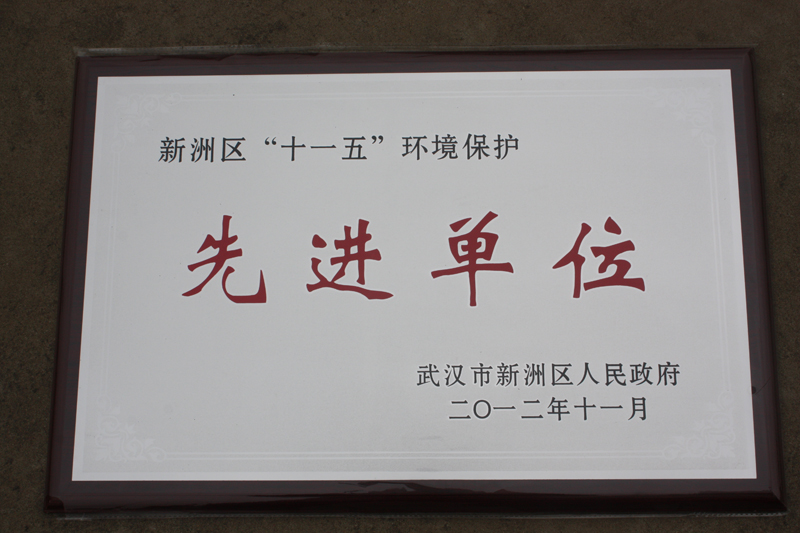 “十一五”环境保护先进单位(湖北亚东) “十一五”环境保护先进单位(湖北亚东)
