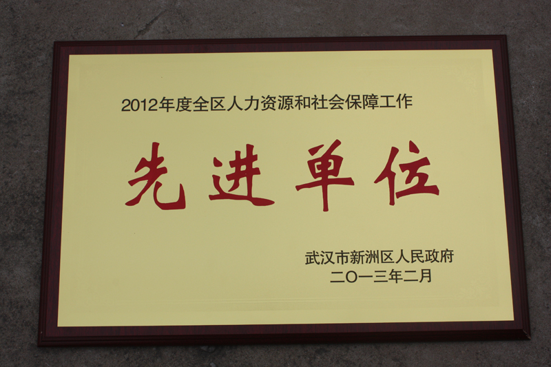 人力资源和社会保障先进单位(湖北亚东) 人力资源和社会保障先进单位(湖北亚东)