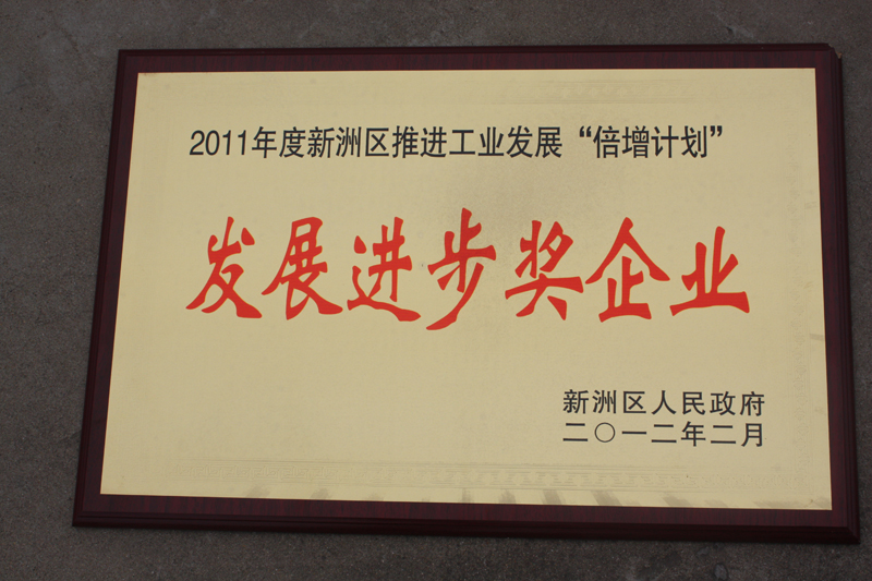 发展进步奖企业(湖北亚东) 发展进步奖企业(湖北亚东)