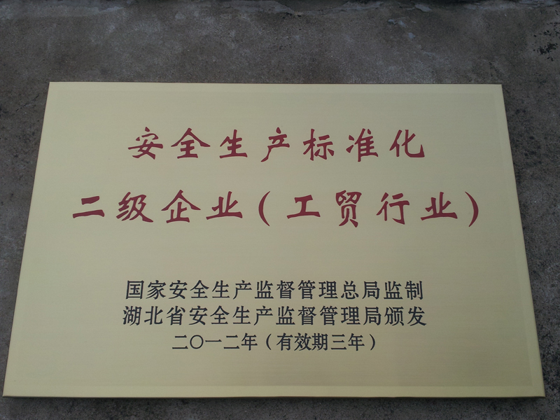安全生产标准化二级企业(湖北亚东) 安全生产标准化二级企业(湖北亚东)