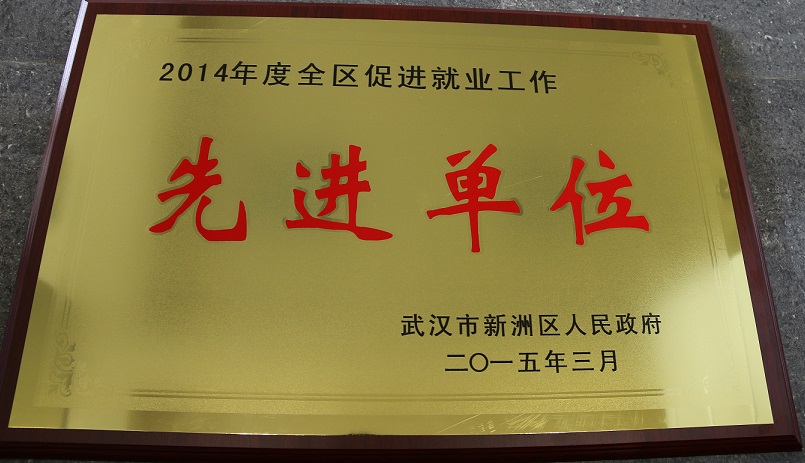 2014年度全区促进就业工作先进单位(湖北亚东) 2014年度全区促进就业工作先进单位(湖北亚东)