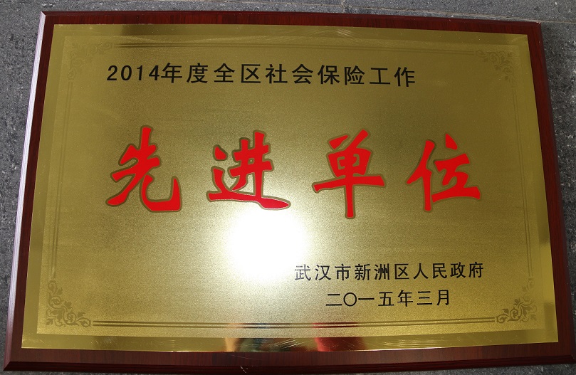 2014年度全区社会保险工作先进单位(湖北亚东) 2014年度全区社会保险工作先进单位(湖北亚东)