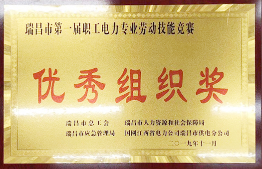 职工电力专业劳动技能竞赛“优秀组织奖”(江西亚东) 职工电力专业劳动技能竞赛“优秀组织奖”(江西亚东)