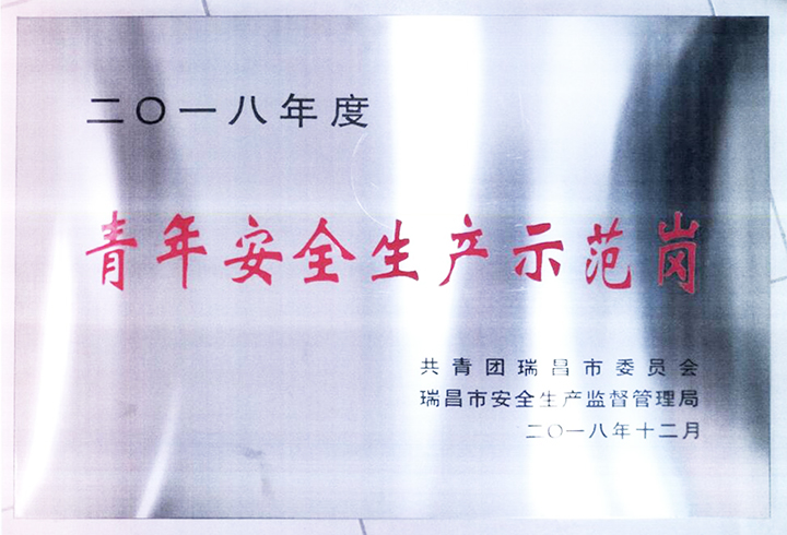 青年安全生产示范岗(江西亚东) 青年安全生产示范岗(江西亚东)