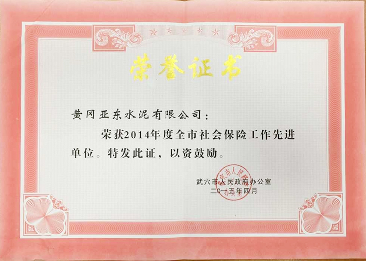 武穴市社会保险工作先进单位(黄冈亚东) 武穴市社会保险工作先进单位(黄冈亚东)