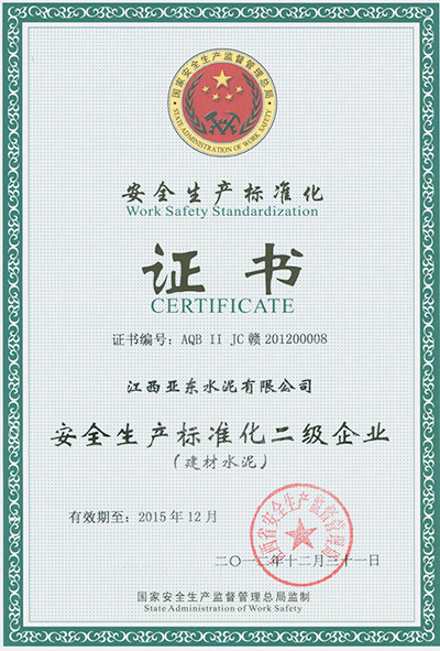 安全生产标准化二级企业(江西亚东) 安全生产标准化二级企业(江西亚东)